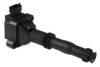 ANGLI 15999 Ignition Coil